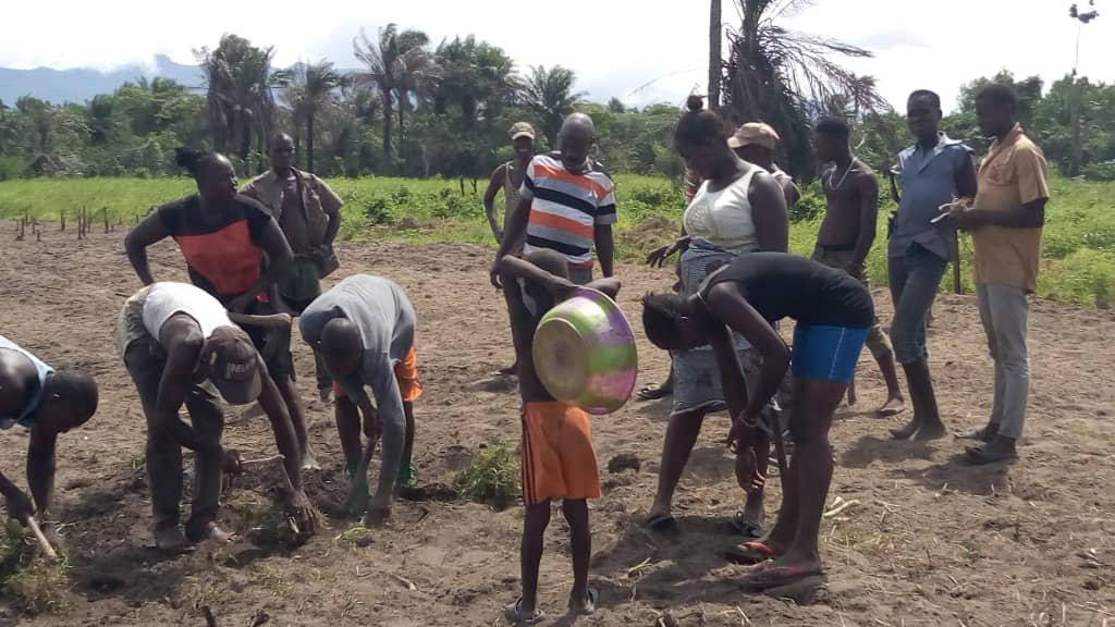 Discussing techniques